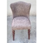 چستر پشت کوتاه - Image 8