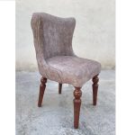 چستر پشت کوتاه - Image 5