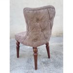 چستر پشت کوتاه - Image 3