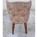 چستر پشت کوتاه - Image 4